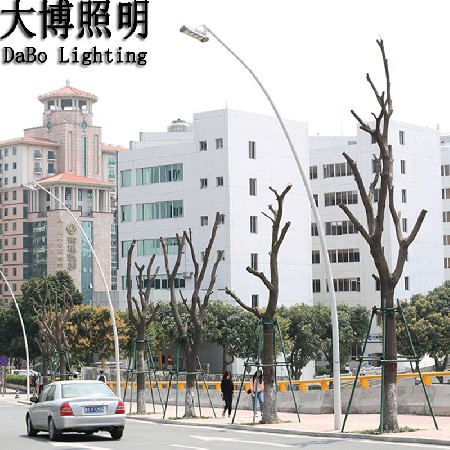 自彎臂市電LED路燈一次成型農(nóng)村道路燈公路亮化工程照明廠家批發(fā)